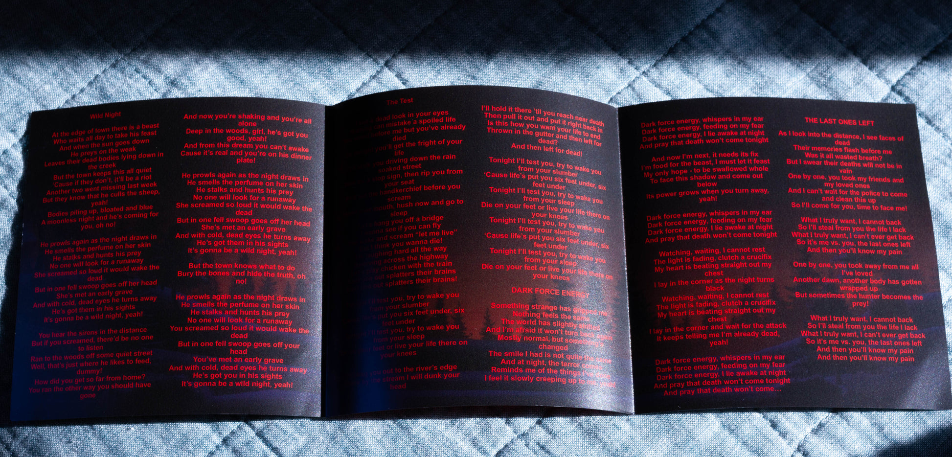 Wild Night - Deluxe Edition Compact Disc – THE RUNAWAY WILD